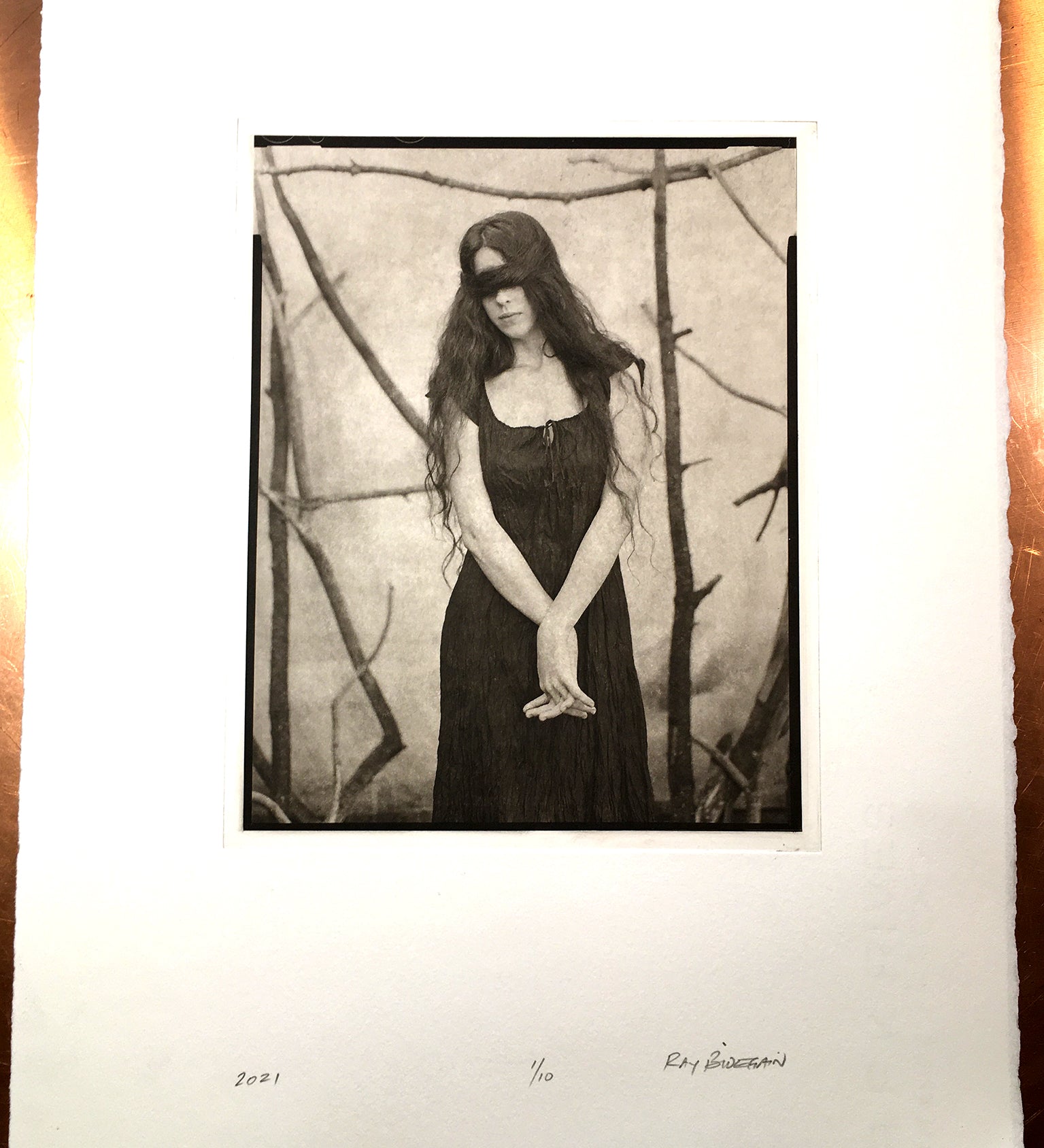 Fallen shelter - Polymer photogravure print - Edition 2021