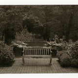 "Garden bench" Polymer plate gravure print
