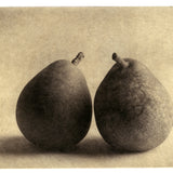 Two Pears   - Polymer photogravure print - Edition 2021