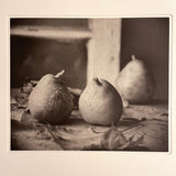 Still Life With Pears- photogravure print - The Weekly Edition