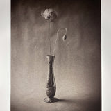 Still Life With Poppies - photogravure print - The Weekly Edition