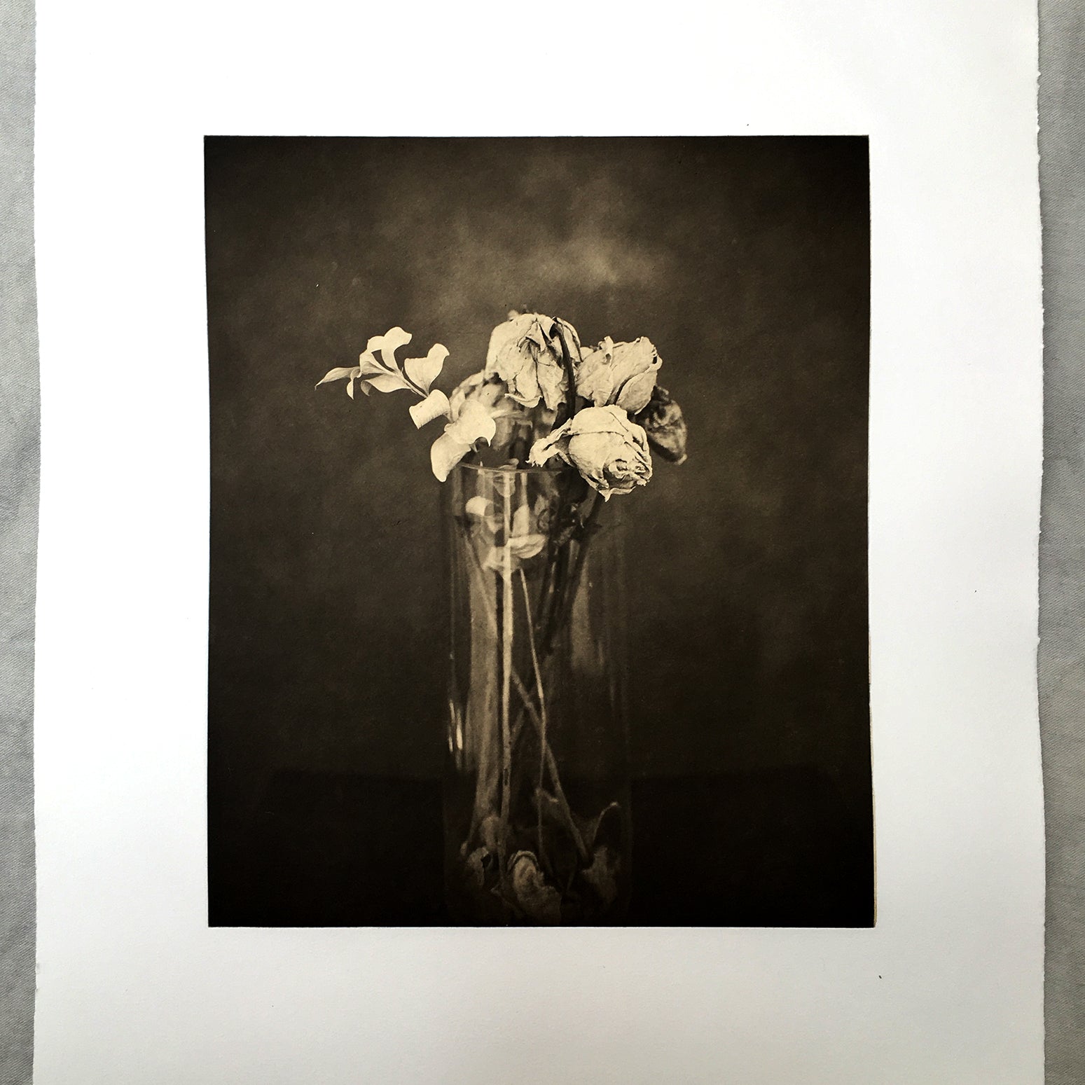 " Roses Past"    - Polymer photogravure print - Edition 2021