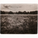Sauvie Island Game Trail - photogravure print - The Weekly Edition
