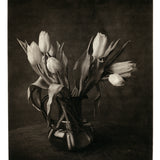 Tulips - Polymer photogravure print - Edition 2021