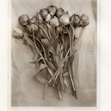 Polymer photogravure " Tulips on Paper"