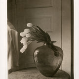 Tulips as Still Life- photogravure print - The Weekly Edition