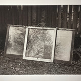 The End of Winter - photogravure print - The Weekly Edition